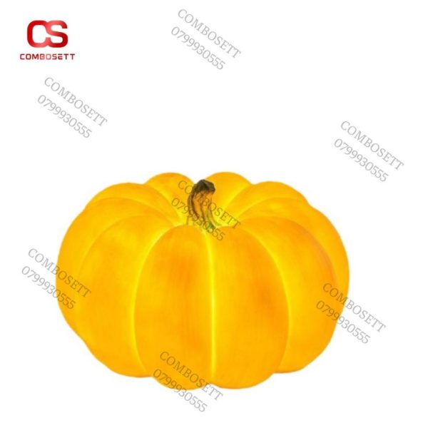 Đèn Led Bí Ngô Trang Trí Sân Vườn, Không Gian Quán Cafe, Nhà Hàng, Quán Ăn - Ảnh 5