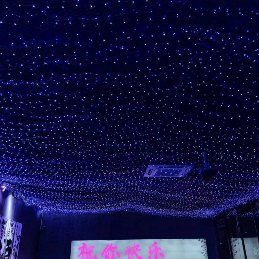 Đèn Dây LED Lưới Đánh Cá Dạ Quang