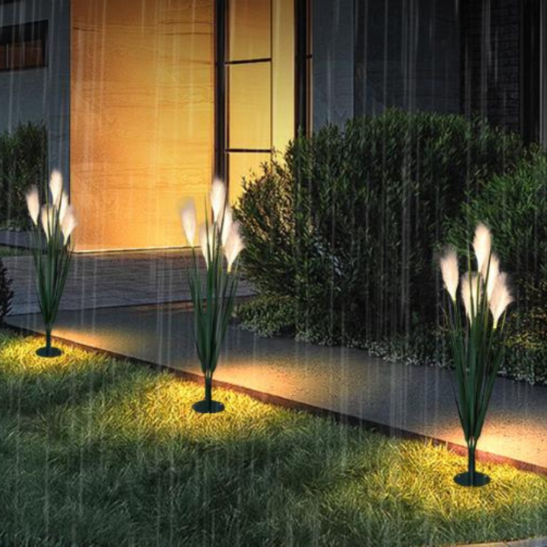 Đèn LED Sợi Quang Hoa Cỏ Lau