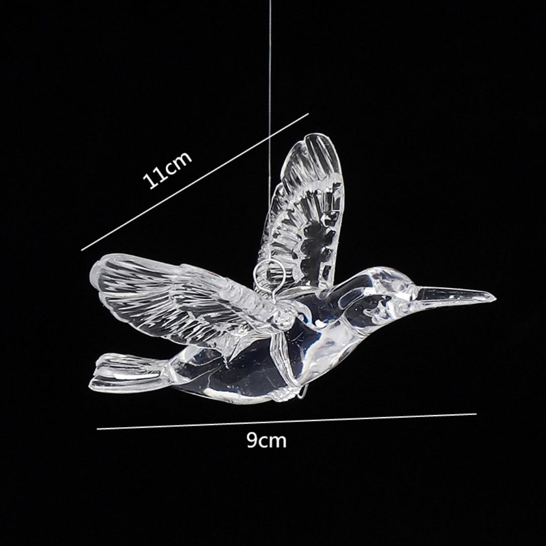 Bộ 10 chim ruồi Acrylic với các chi tiết hoàn hảo và tỉ mỉ