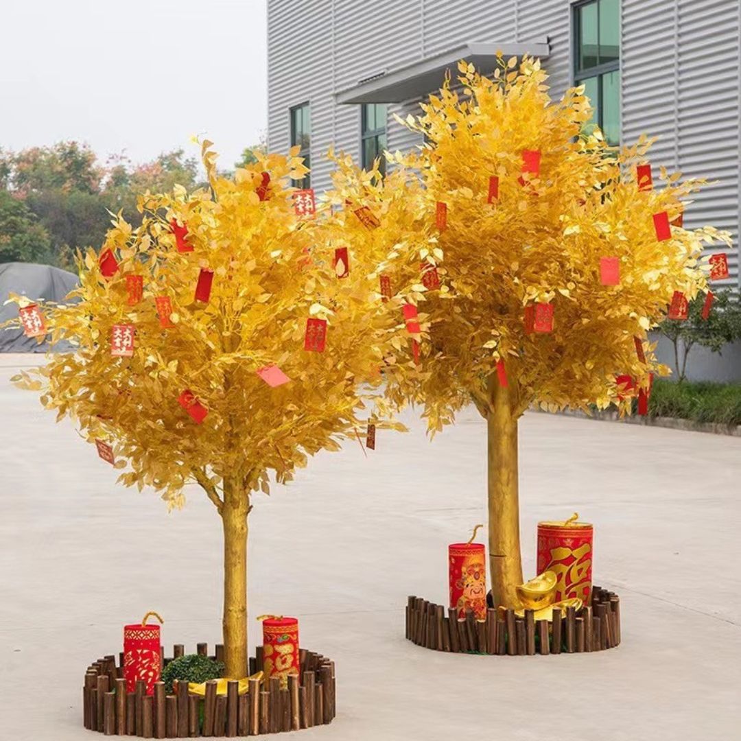 Cây kim tiền trang trí ngày tết mang nhiều ý nghĩ may mắn phát tài