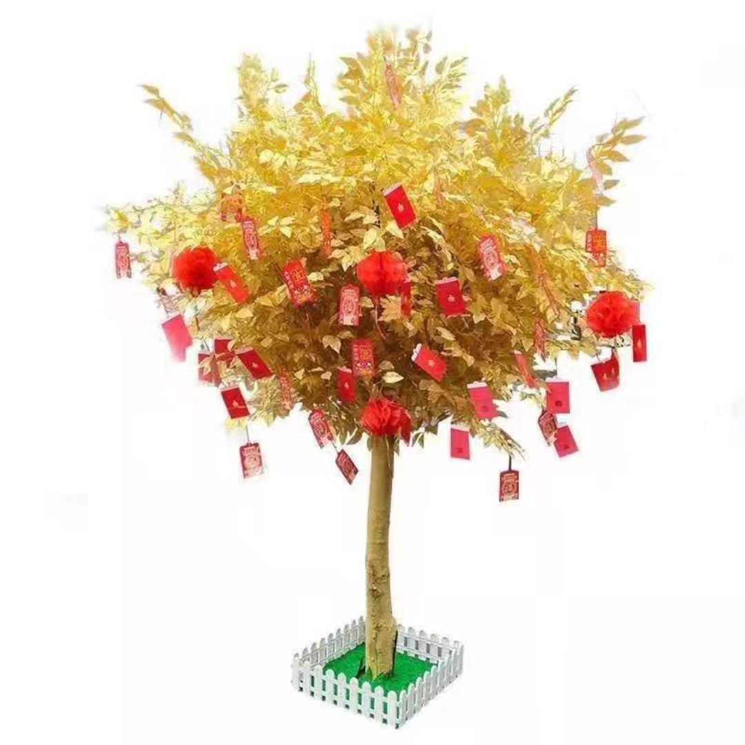 Cây kim tiền trang trí ngày tết với nhiều kích thước khác nhau