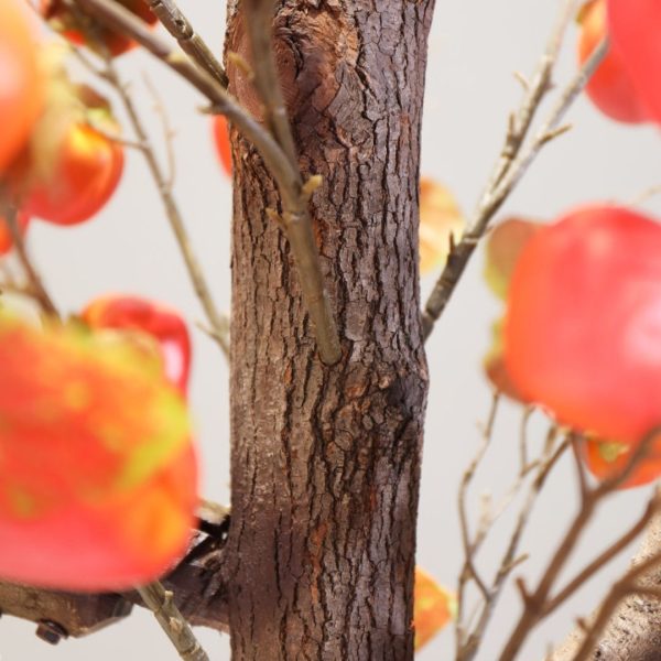 Cây Hồng Nhân Tạo Thân Bonsai, Cây Hồng Mô Phòng Cây Ước Nguyện, Cây Trang Trí May Mắn, Ý Nghĩa - Hình ảnh 5