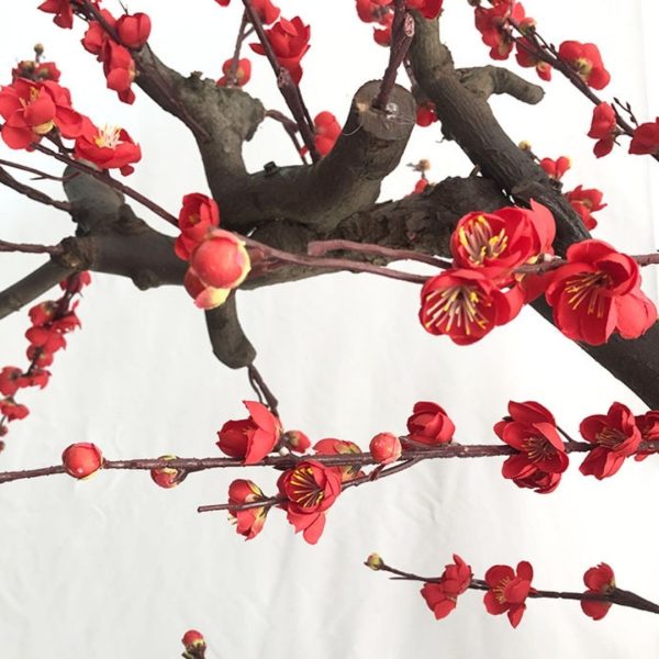 Cây Hoa Mận Nhân Tạo Cao Cấp, Cây Hoa Mận Lớn Decor Nhiều Không Gian, Đồ Trang Trí - Hình ảnh 5