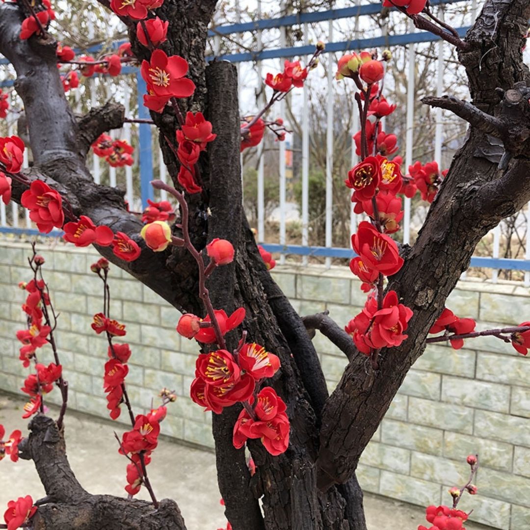 Cây hoa mận nhân tạo cao cấp với cánh hoa được làm bằng hoa nhẹ nhàng mềm mại