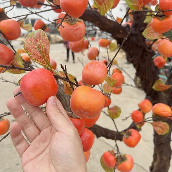 Cây hồng nhân tạo cao cấp 1,2m được làm từ chất liệu gỗ tự nhiên và nhựa