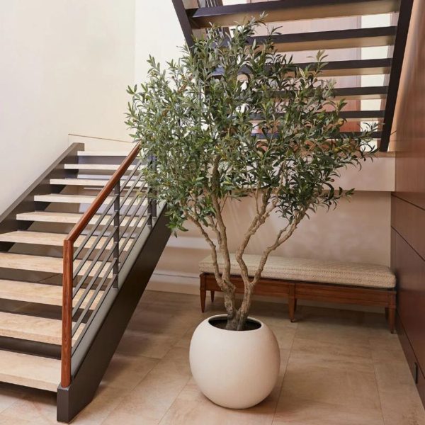 Chậu Cây Olive Giả Cao 260cm, Thân Nhiều Nhánh Decor Nội Thất, Ngoại Thất Phong Thuỷ