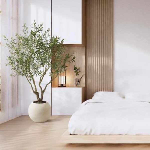 Chậu Cây Olive Giả Cao 260cm, Thân Nhiều Nhánh Decor Nội Thất, Ngoại Thất Phong Thuỷ