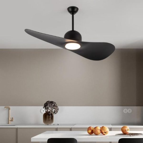 Đèn Quạt Trần 2 Cánh Tối Giản Điều Khiển Từ Xa, 6 Cấp Độ Gió, 3 Chế Độ Sáng Hiện Đại - Hình ảnh 2