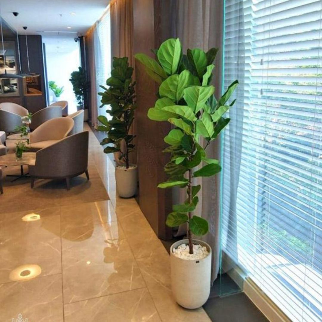 Cây Giả Decor – ‘Vũ Khí’ Trang Trí Sống Ảo Đỉnh Cao Cho Quán Cafe