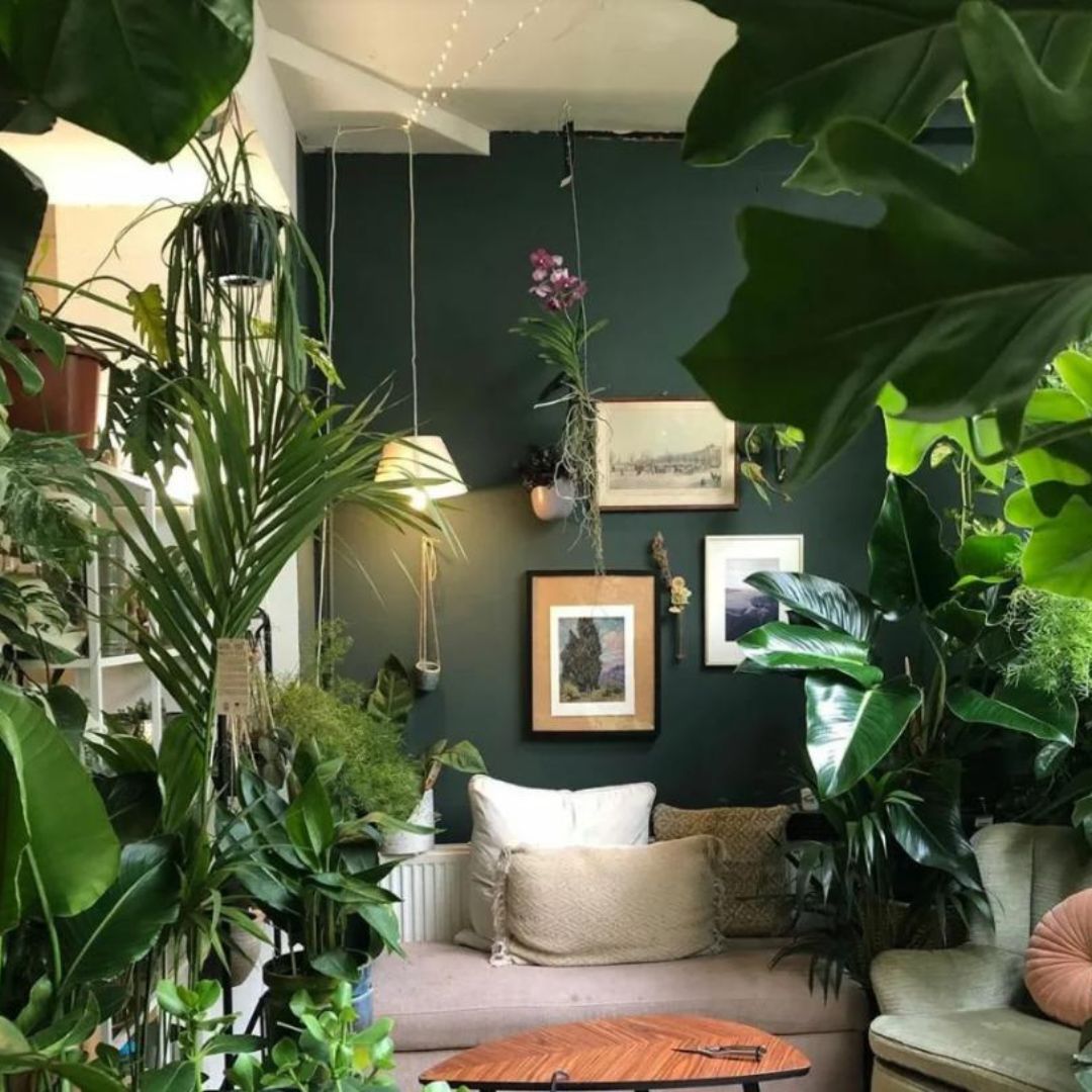 Cây Giả Decor – ‘Vũ Khí’ Trang Trí Sống Ảo Đỉnh Cao Cho Quán Cafe