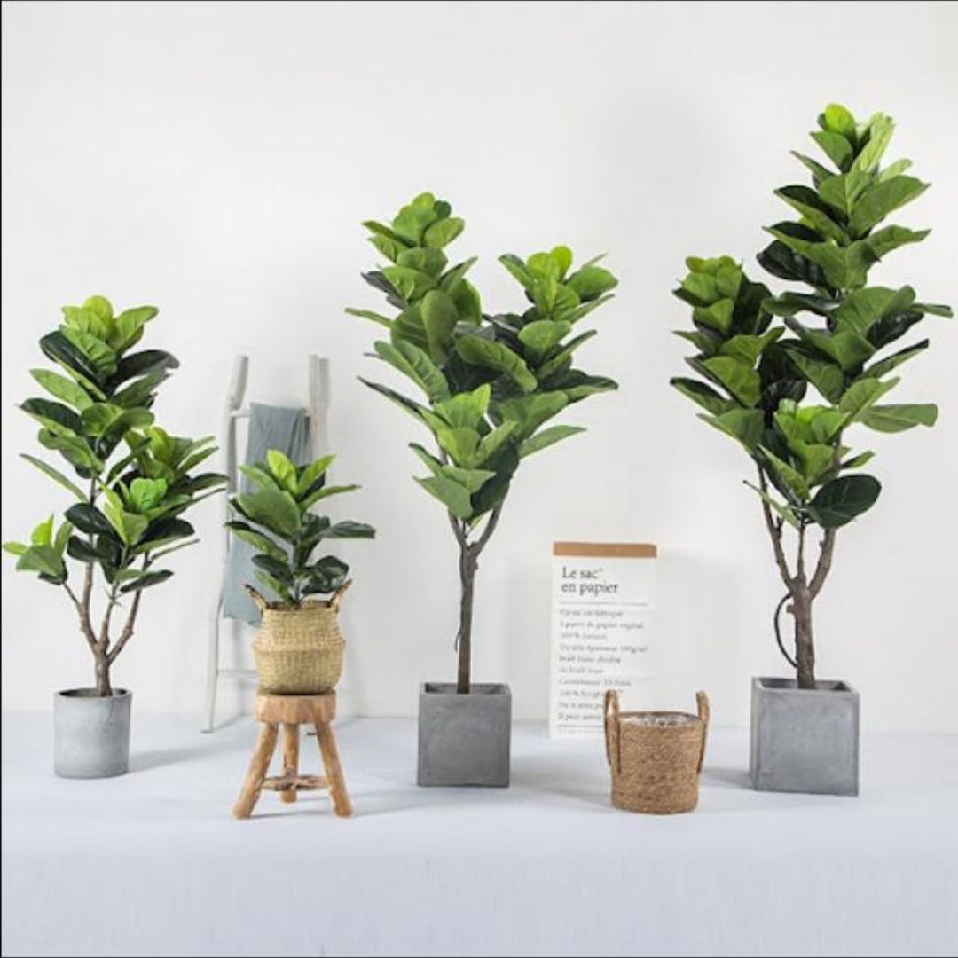 Cây Giả Decor – ‘Vũ Khí’ Trang Trí Sống Ảo Đỉnh Cao Cho Quán Cafe