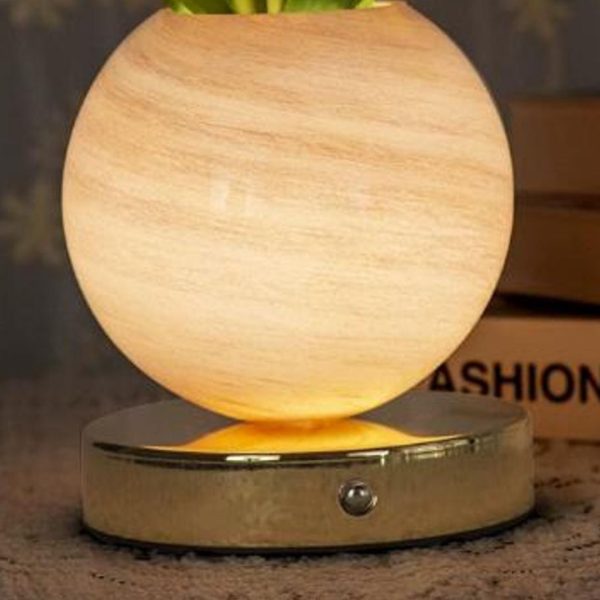 Đèn Bàn Hành Tinh Hoa Tulip 3 Chế Độ Sáng, Công Tắc Cảm Ứng, Cổng Sạc USB Hiện Đại