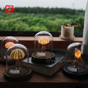 Đèn Bàn Vỏ Sò Biển Chụp Thủy Tinh Cho Decor Nội Thất, Làm Quà Tặng Sinh Nhật, Lưu Niệm