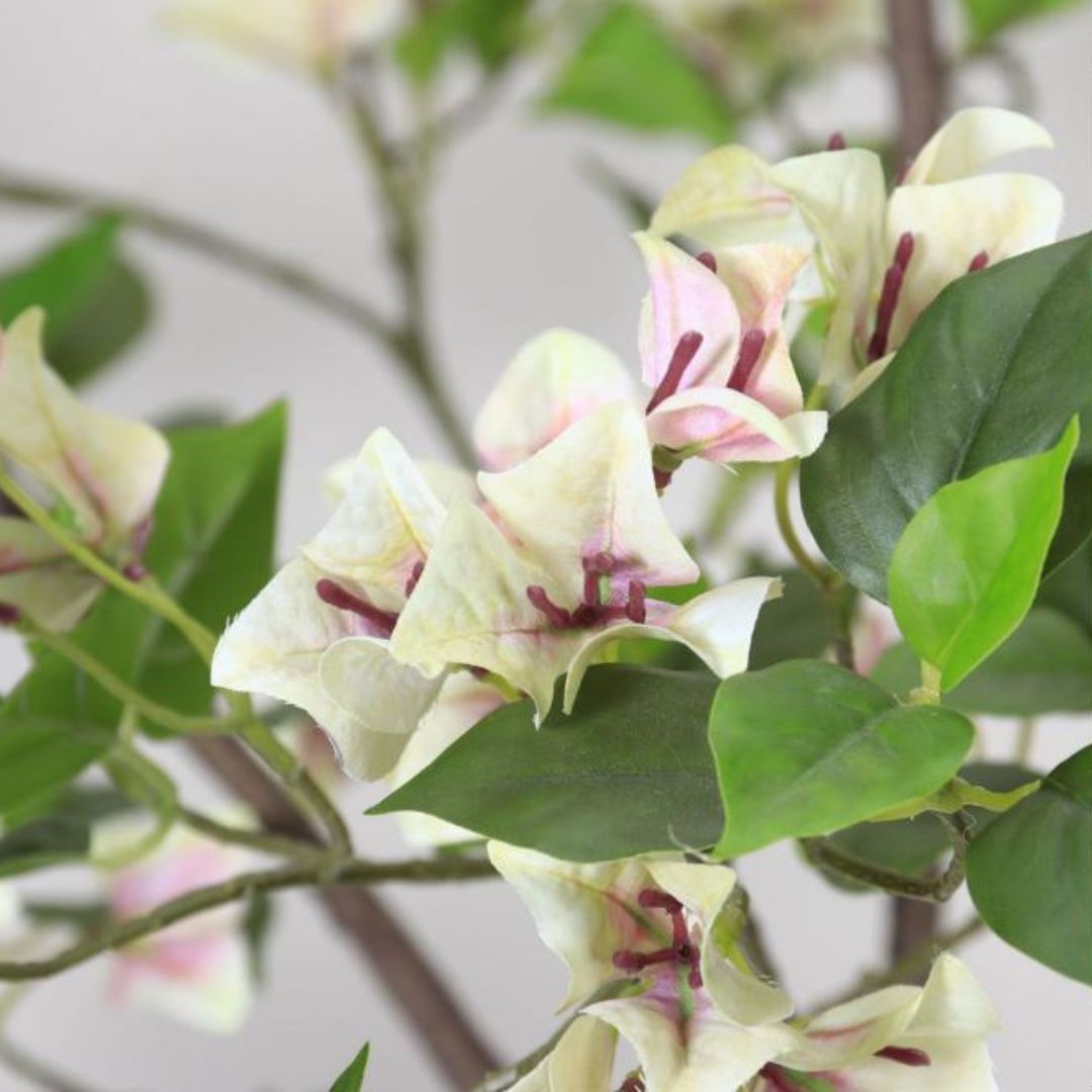 Cây Hoa Trắng Giả Trang Trí Căn Hộ Studio Phong Cách Hiện Đại, Ngày Tết