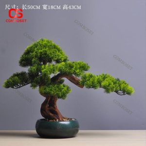 Cây Bonsai Để Bàn – Trang Trí Bàn Làm Việc, Quà Tặng Ý Nghĩa 2011