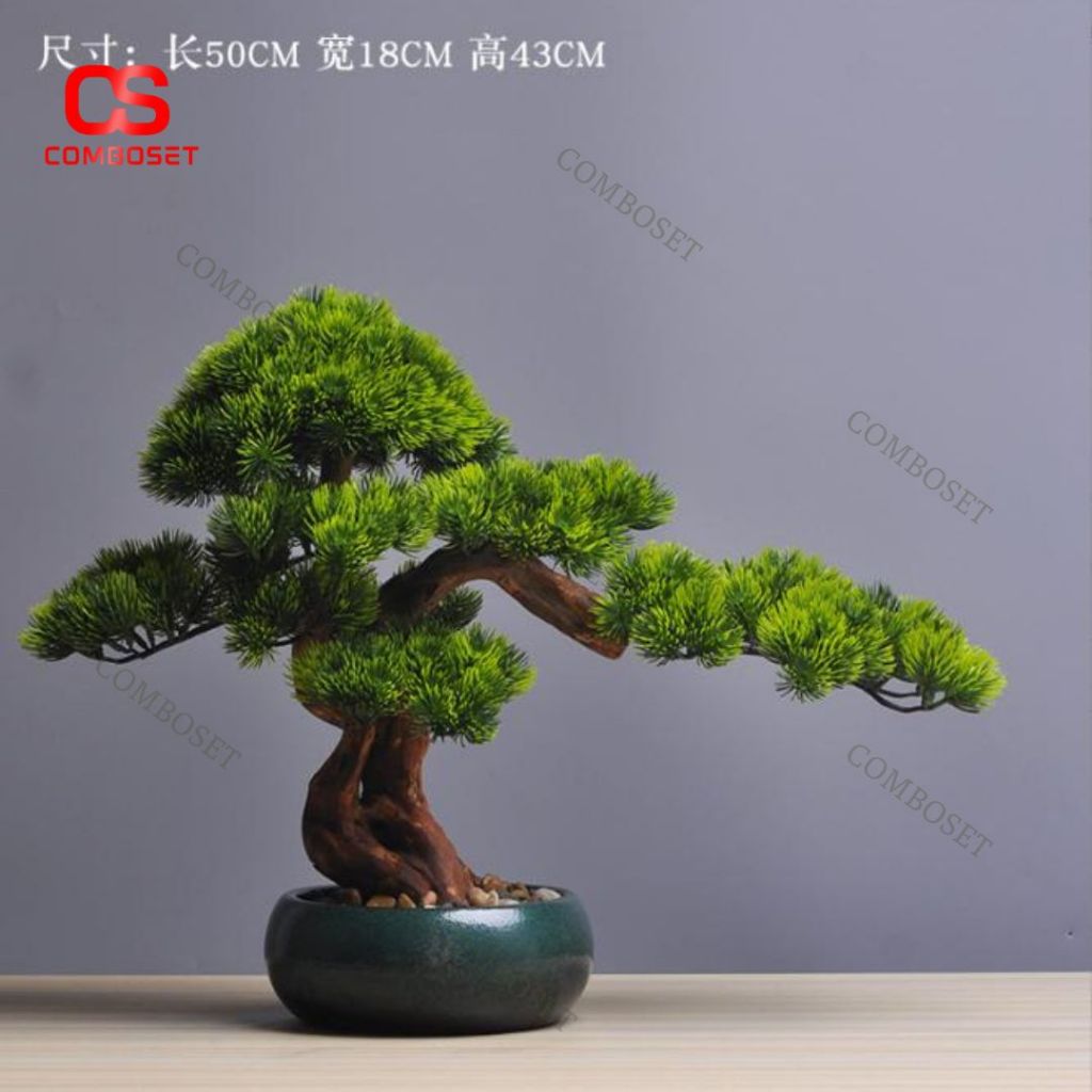 Cây Bonsai Để Bàn – Trang Trí Bàn Làm Việc, Quà Tặng Ý Nghĩa 2011
